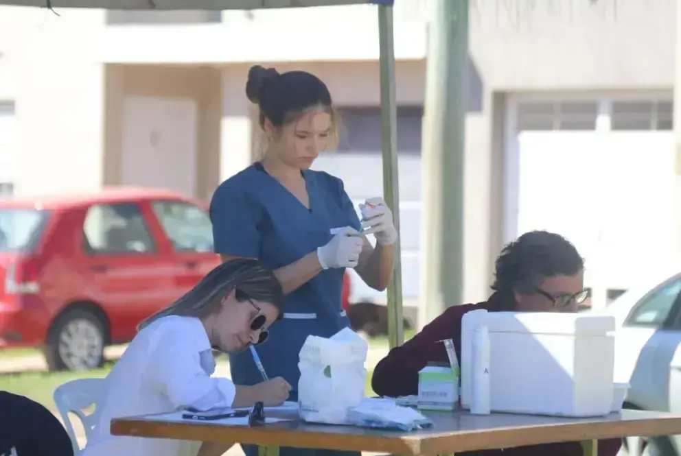 Gualeguaychú: El Municipio abrió convocatoria para incorporar estudiantes de veterinaria