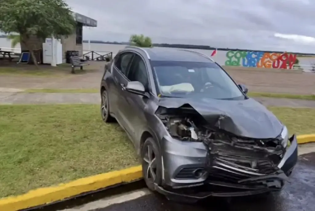 Adolescente intentó ahuyentar abejas dentro de su auto y chocó contra una palmera