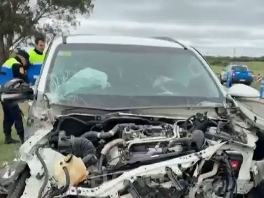 Autovía Artigas: Una familia chocó contra un camión tras embestir a un perro
