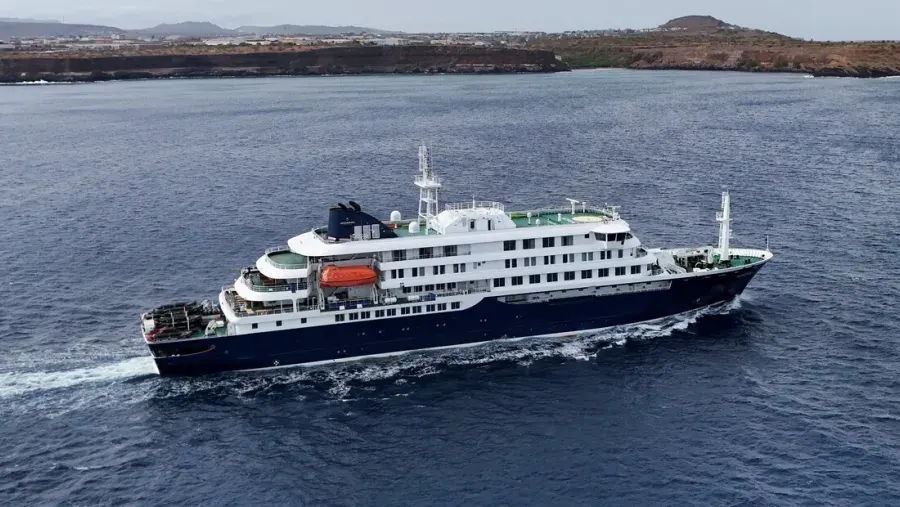 Brote de hantavirus en el crucero: qué es la variante Andes y el dato que preocupa de los contagios en el país