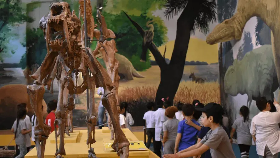 Con una variada agenda de actividades se celebrará el Día Internacional de los Museos