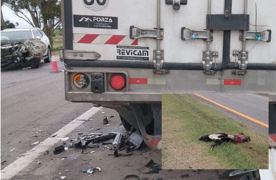 Despiste y choque en la Autovía 14: una familia de Buenos Aires accidentada en el kilómetro 27