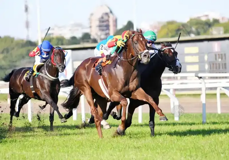 Domingo 10: Actividad Hipódromo de San Isidro