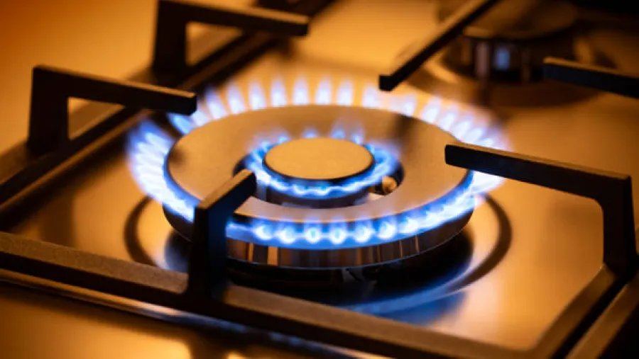 El Gobierno subsidiará durante el invierno el gas importado destinado a hogares argentinos