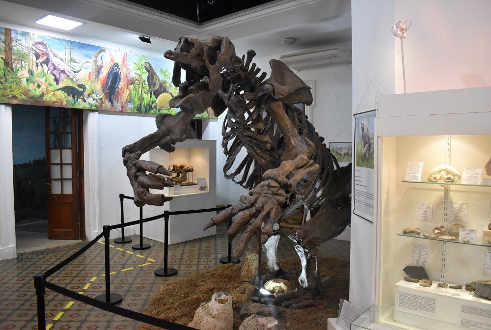 El Museo de Ciencias Naturales cumple 30 años custodiando nuestra historia.