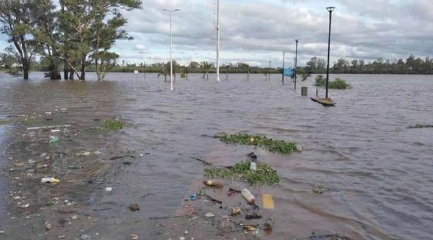 El Niño 2026: ante pronósticos de un fenómeno climático histórico, el Consejo de Humedales convoca a la ciudadanía