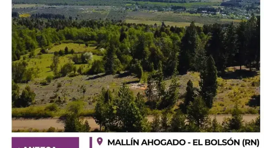 El “otro” fuego: se multiplicaron las publicaciones de venta de terrenos afectadas por incendios forestales