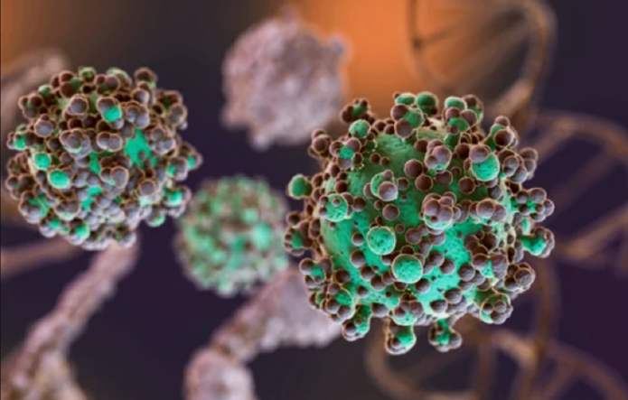 El total de casos de Hantavirus en Argentina asciende a 102