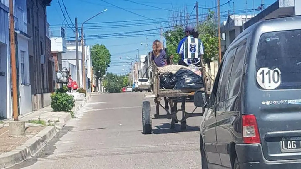 En Concordia buscan darle una prohibición definitiva a la tracción a sangre