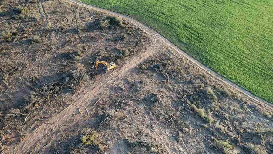 Extractivismo recargado: el Gobierno busca desmontar la Ley de Bosques