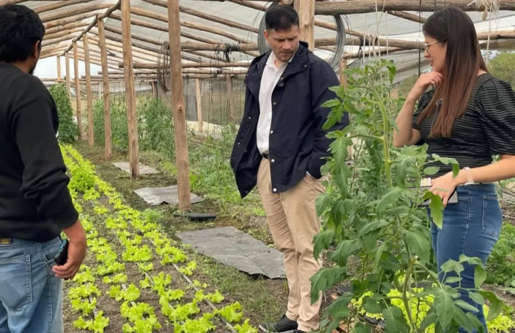 Feliciano: El polo hortícola aumentó su producción un 60% y genera ingresos genuinos para familias locales