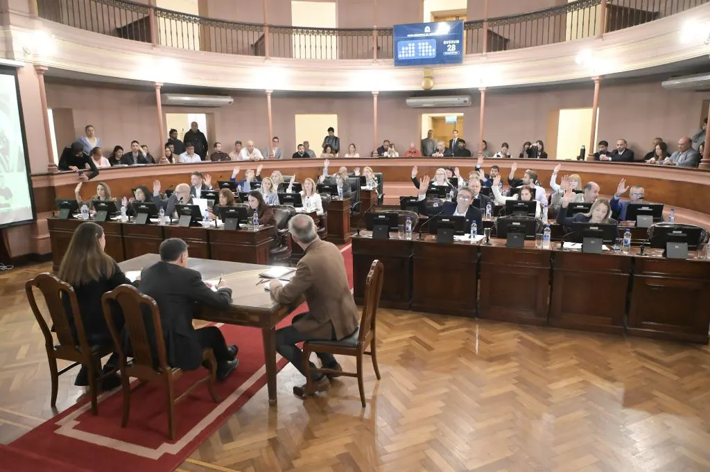 Finalmente, Diputados aprobó el protocolo para el abordaje de la violencia