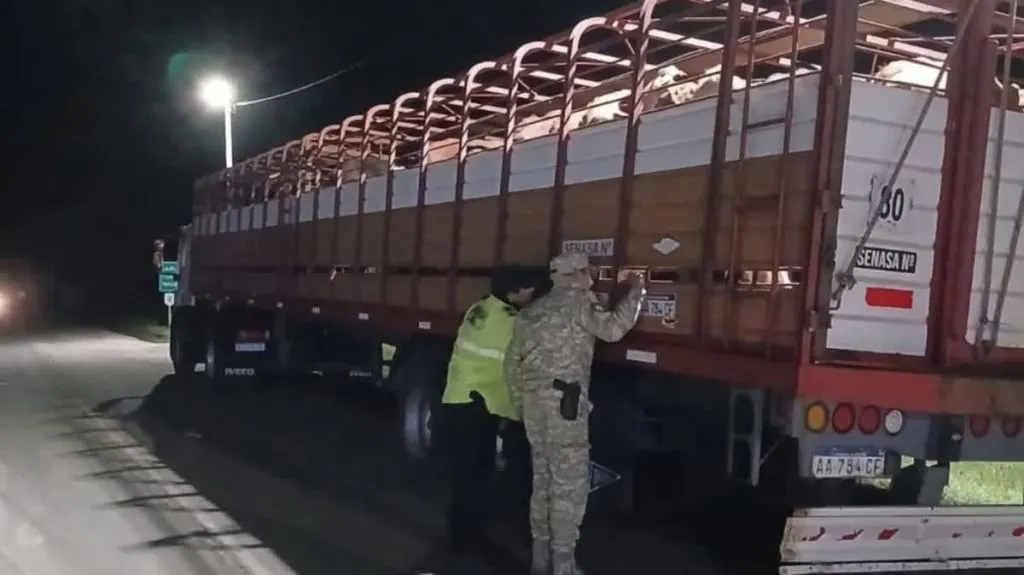 Frenaron en Entre Ríos un camión con 39 vacunos infestados de garrapatas
