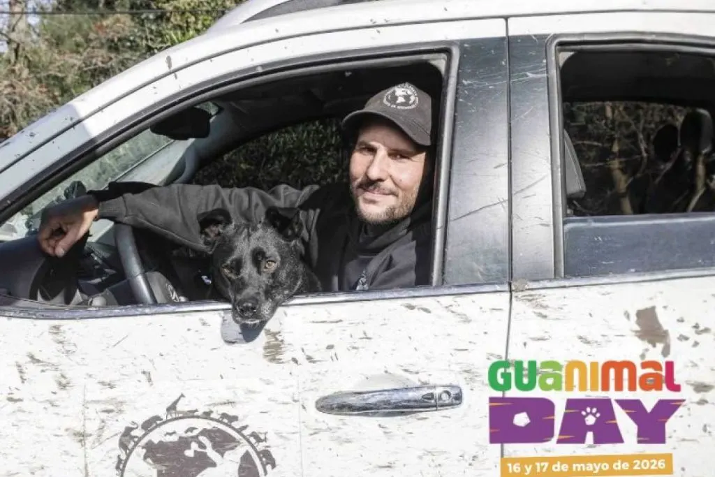 «Guanimal day» el evento en el que se realizarán castraciones, vacunaciones y atención veterinaria primaria gratis
