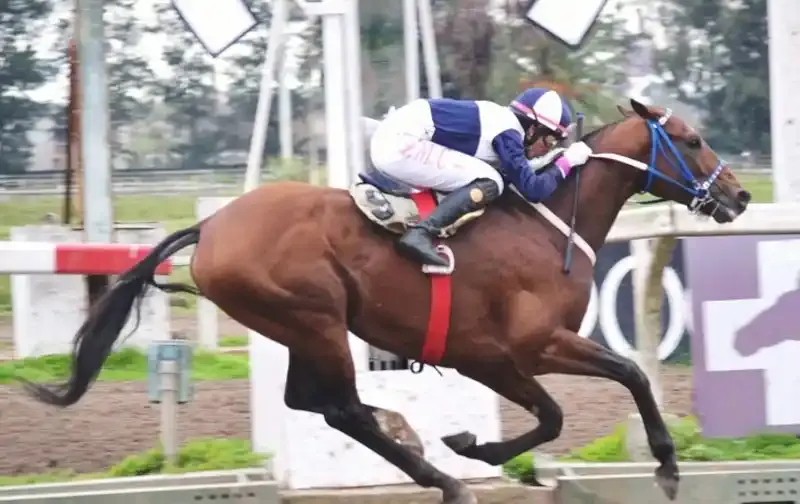 Jueves 14: Actividad Hipódromo de La Plata