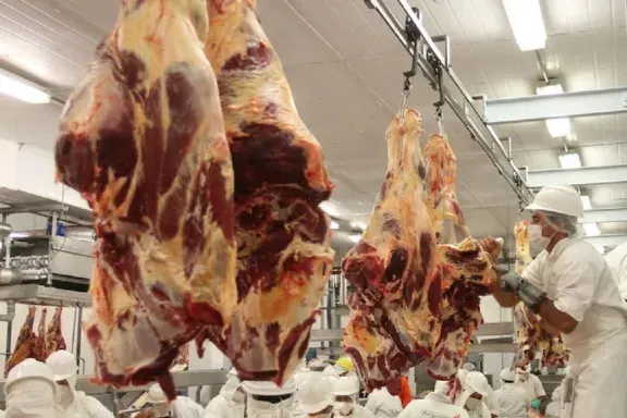 La faena vacuna cayó al nivel más bajo en décadas y descendió el consumo de carne