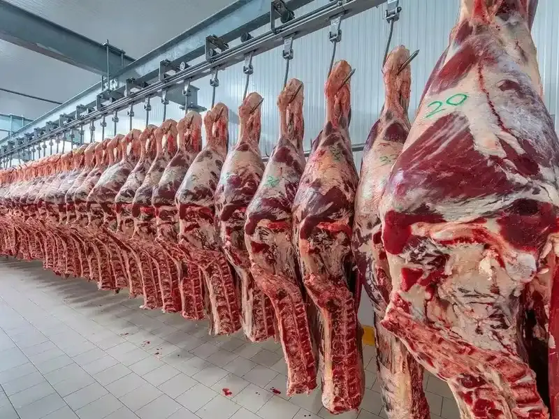 La faena vacuna cayó al nivel más bajo en décadas y el consumo de carne por habitante sigue en descenso