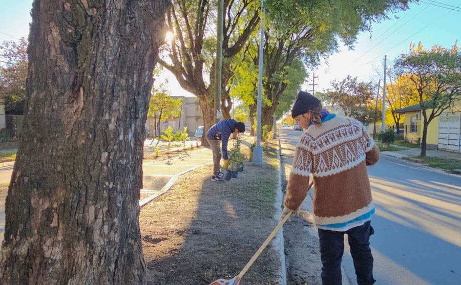 La Municipalidad de Colón avanza con nuevas tareas de forestación y parquizado en bulevar Sanguinetti