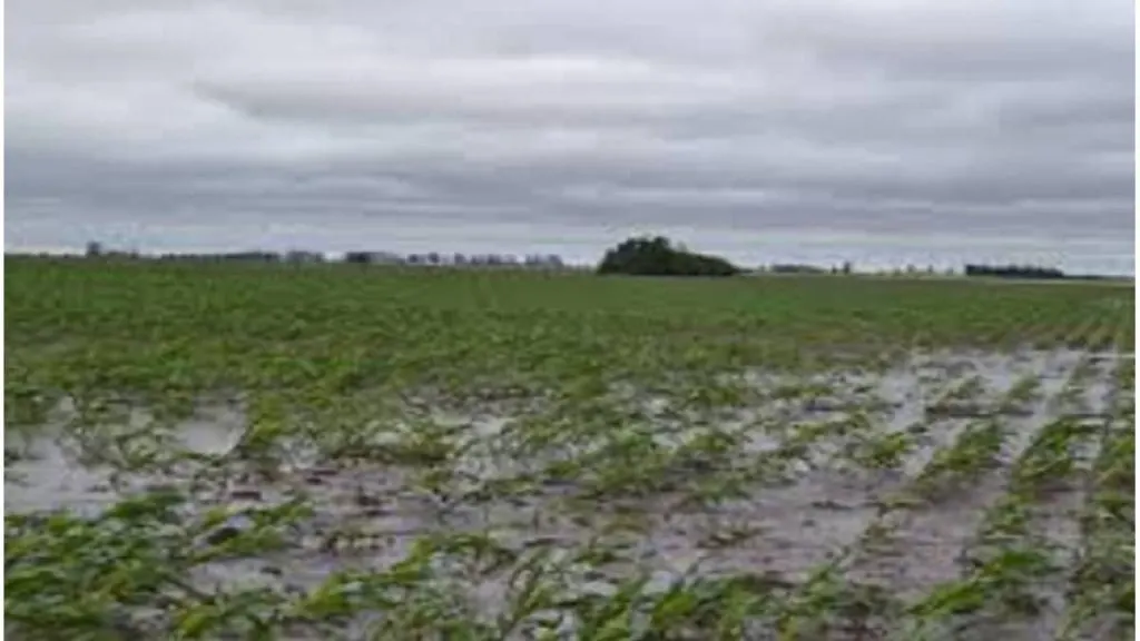 Las reservas hídricas en niveles óptimos y preven impacto positivo del fenómeno de El Niño