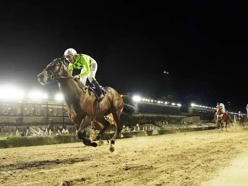 Lunes 11: Actividad Hipódromo de Palermo