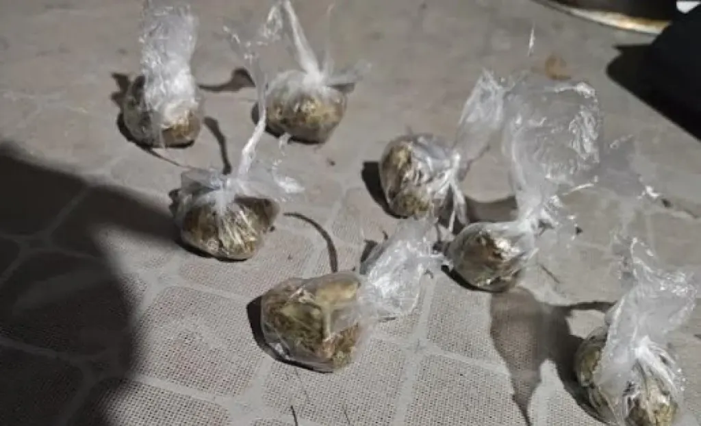 Múltiples allanamientos en San José: secuestraron droga, dinero y detuvieron a un hombre