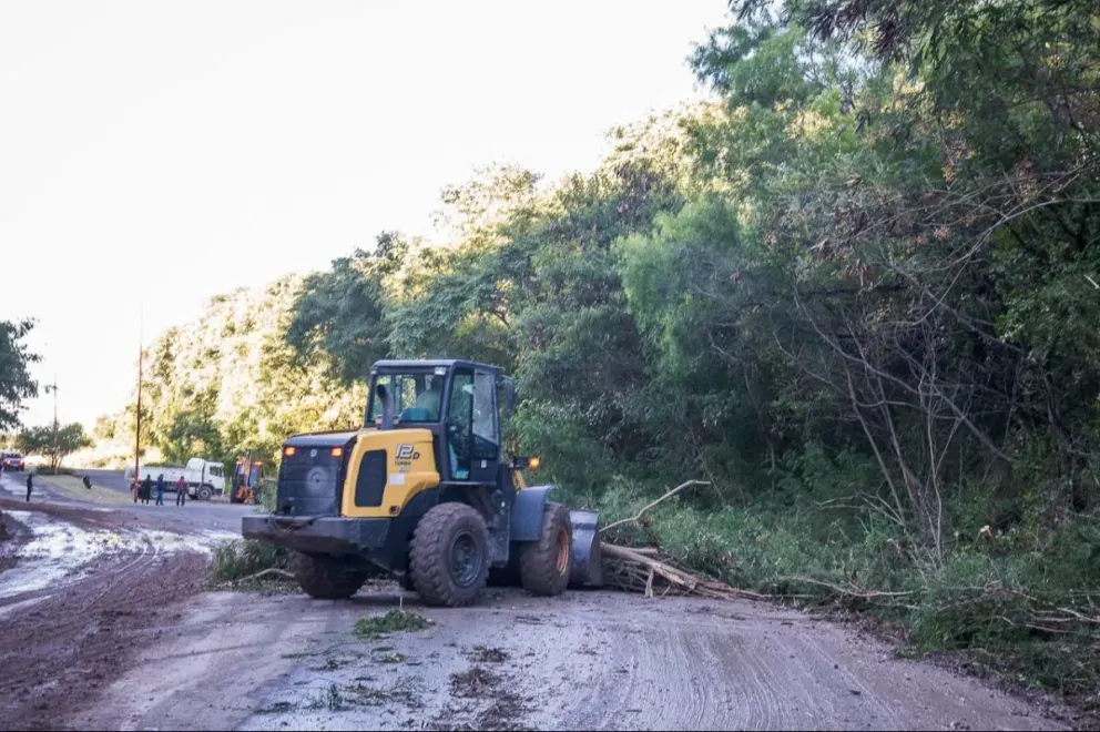 Paraná intensifica la limpieza y erradicación de mini basurales en el Parque Varisco