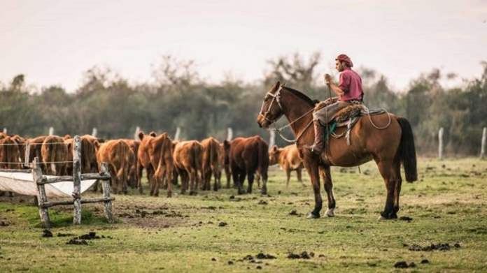 Reforma laboral: homologaron la primera paritaria del peón rural bajo el nuevo régimen