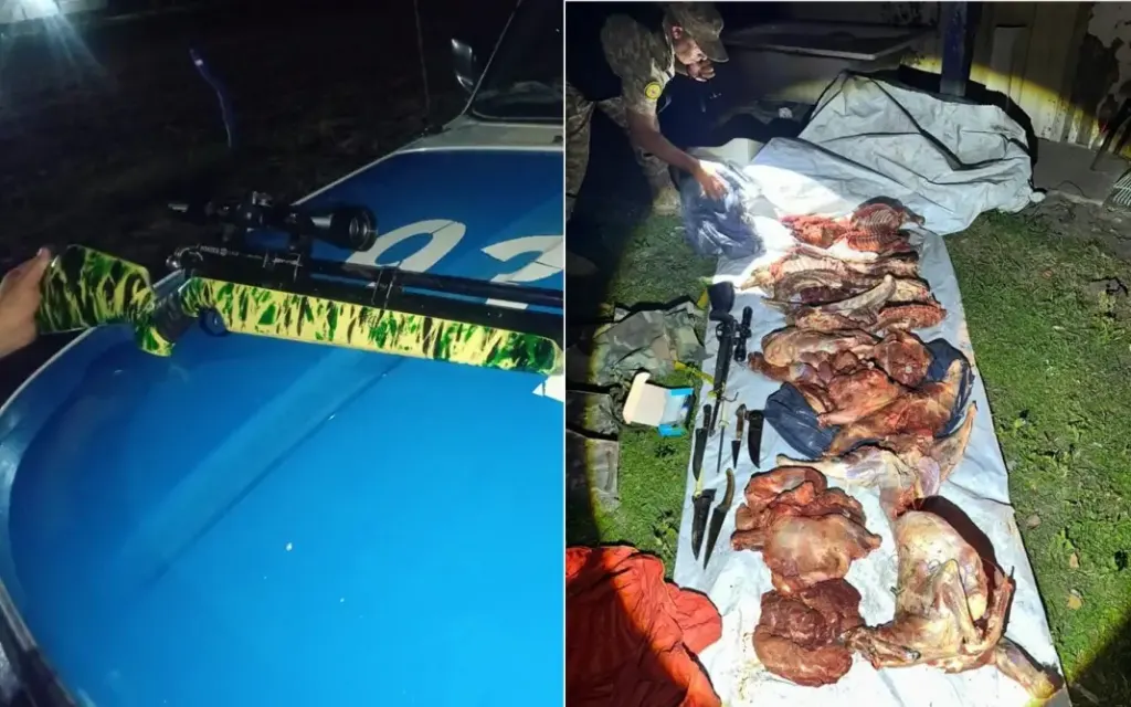 Salieron a cazar carpinchos y, de paso, mataron dos corderos y los faenaros.