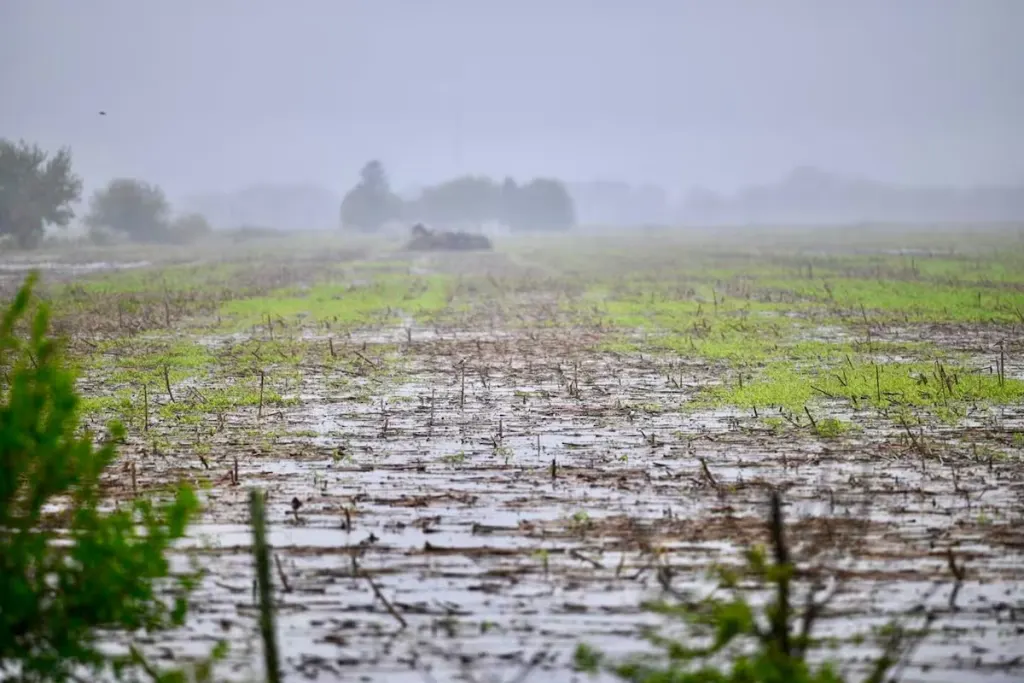 Súper El Niño: Crece la probabilidad de su llegada y advierten sobre su posible impacto