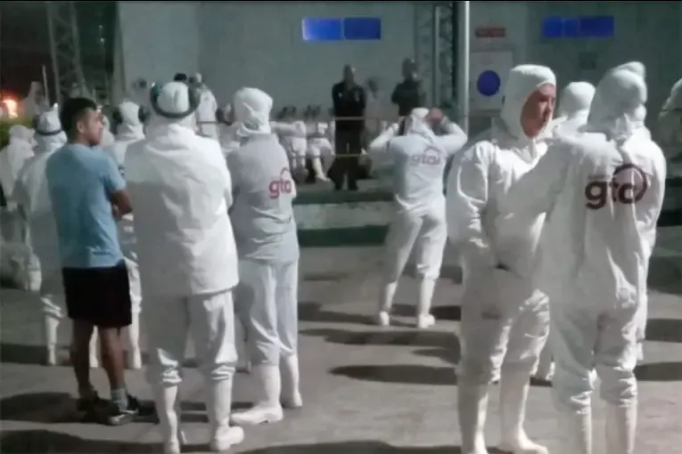 Trabajadores de avícola Granja Tres Arroyos frenaron la faena por salarios adeudados