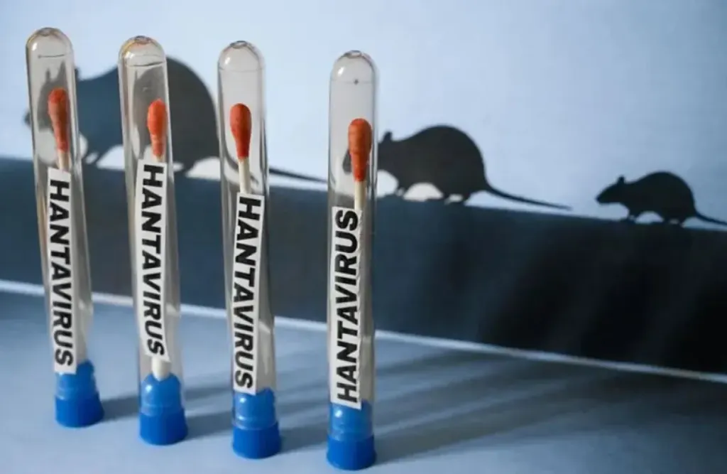 Tras nuevos casos de hantavirus, Francia, Australia y Reino Unido activaron aislamientos preventivos