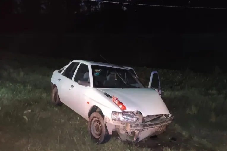 Un carpincho ocasionó un accidente en cruce de rutas nacionales 12 y 14