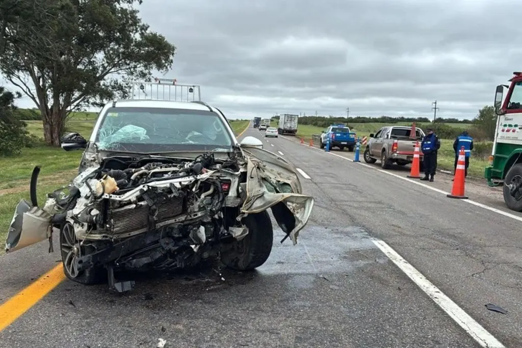Un perro suelto en la ruta provocó un violento choque entre una camioneta y un camión