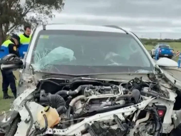 Un perro suelto provocó un violento choque entre una camioneta y un camión en el tramo sur de la Ruta 14