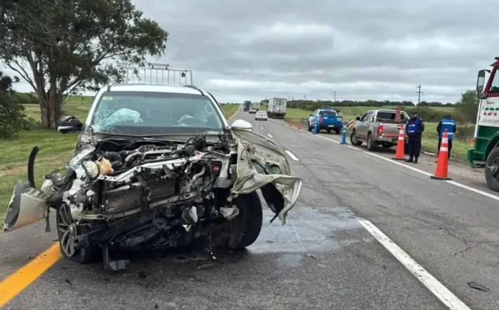 Un perro suelto provocó un violento choque sobre la Ruta 14 en el sur entrerriano