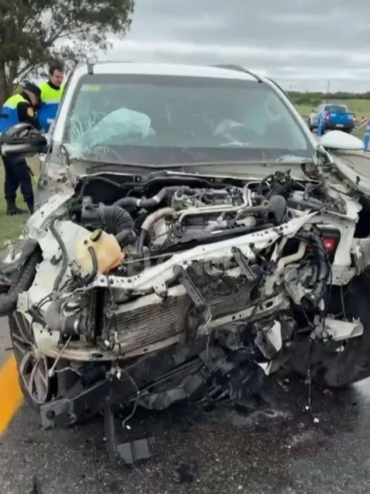 Un perro suelto provocó violento choque sobre el tramo del sur entrerriano de Ruta 14