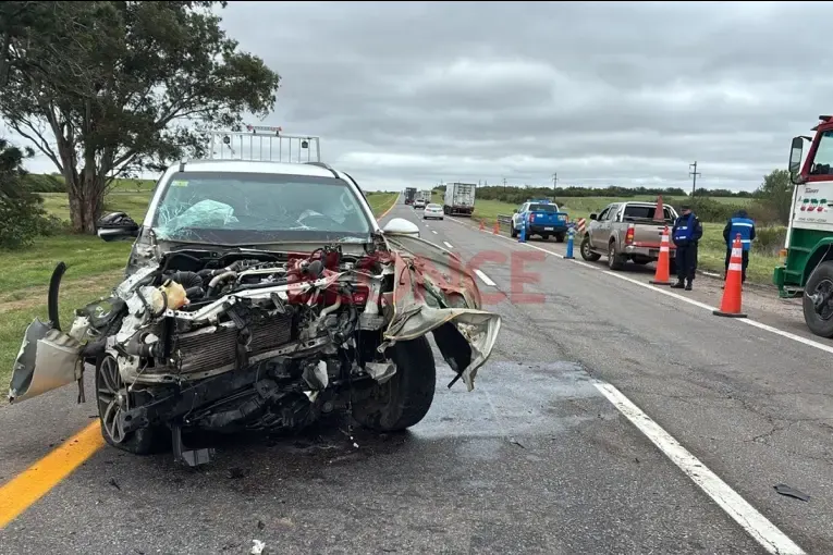 Un perro suelto provocó violento choque sobre el tramo del sur entrerriano de Ruta 14
