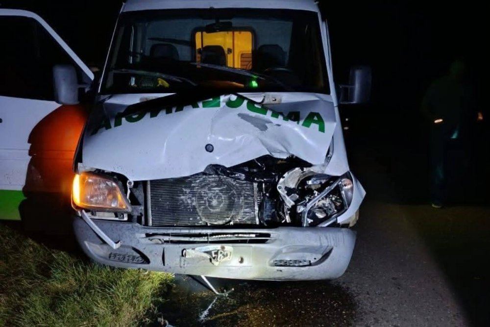 Una ambulancia impactó contra un animal que estaba sobre la Ruta 4