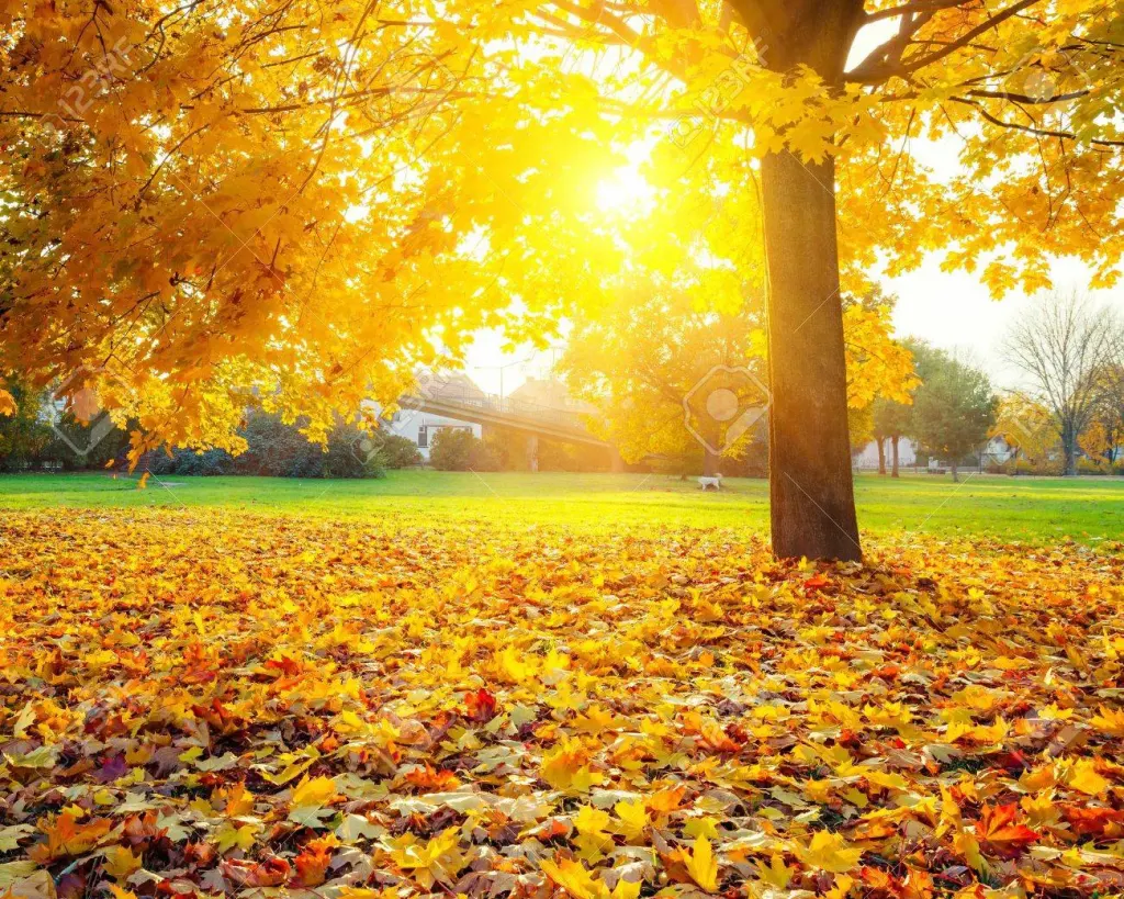 Una mañanita Concordiense soleada y con clima agradable nos regala este Otoño.