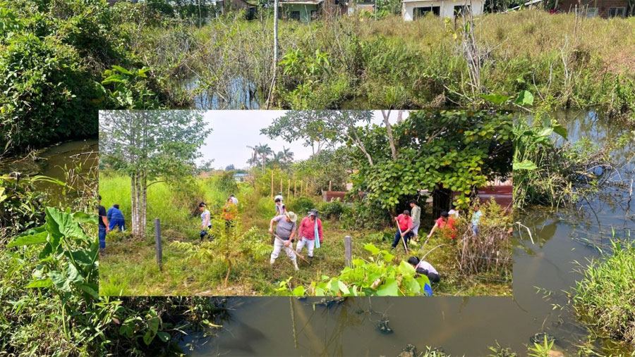 Día Mundial del Medio Ambiente: una fecha para reflexionar sobre el cuidado de nuestros ríos y la biodiversidad en Entre Ríos