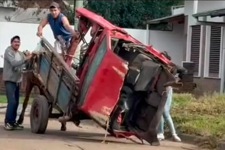 Presunto maltrato animal: un caballo que fue utilizado para arrastrar partes de un auto en Gualeguaychú