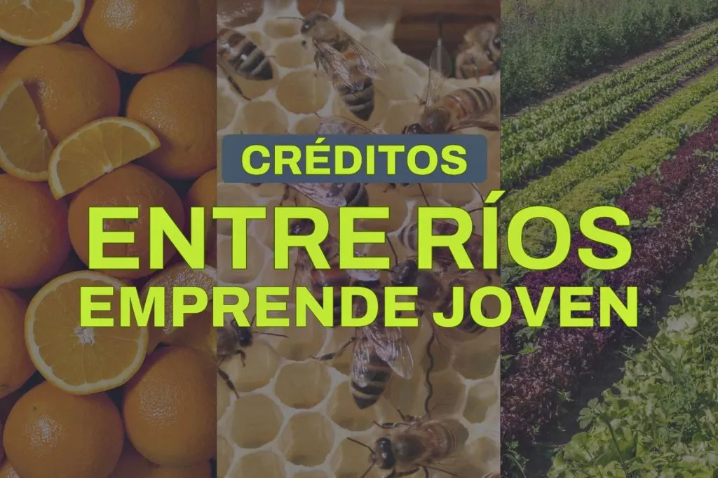 Abrió la convocatoria del programa Entre Ríos Emprende Joven