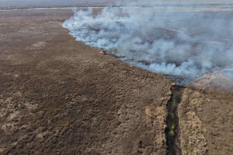 Brigadas entrerrianas asisten en el combate de incendios en la zona del Delta