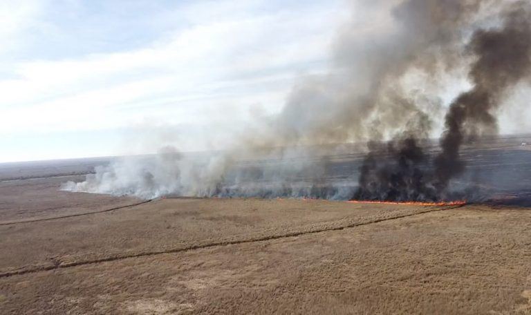 Brigadas entrerrianas asisten en el combate de incendios en la zona del Delta