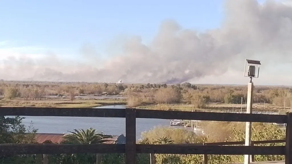 Brigadistas entrerrianos combaten incendios en el Delta del Paraná e investigan posibles quemas intencionales