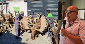 Caza ilegal en Gualeguaychú: secuestran armas y trofeos por $1.326 millones
