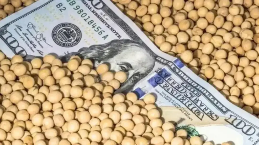 De la soja al livestreaming: cómo la transformación del consumo en China redefine las oportunidades para Argentina