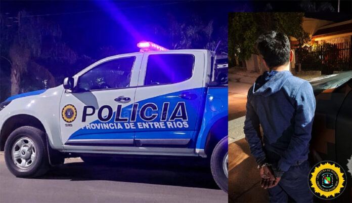 Detuvieron a un ladrón que intentó esconderse en un contenedor de basura