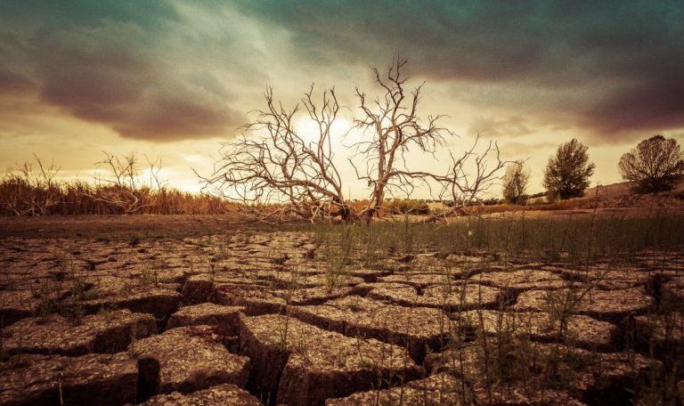 Día Mundial de la Conservación del Suelo: por qué es importante protegerlo