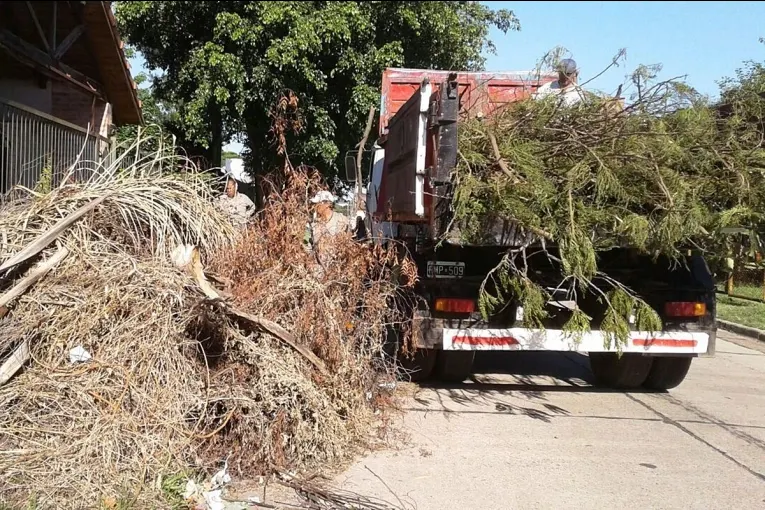 El municipio cambió las categorías en el cobro por retirar podas, escombros y residuos voluminosos